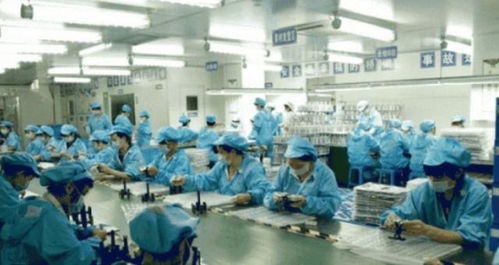 螺丝钉的智慧图谱 电子厂里的文化密码与社会分工